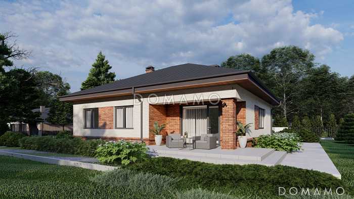 Проект загородного дома с террасой, двумя санузлами, кухней и гостиной без перегородки