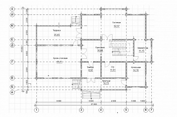 Проект большого двухэтажного дома, с красивым внешним видом / План 1 этажа