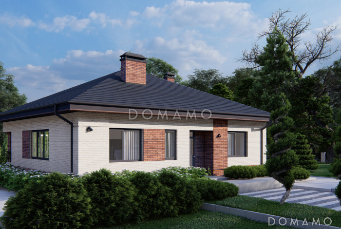 Проект одноэтажного дома с террасой, двумя санузлами, кухней и гостиной без перегородки