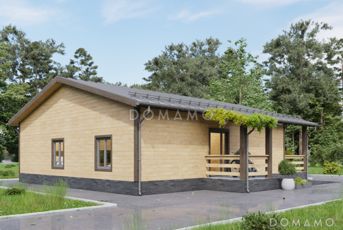 Дом, адаптированный для маломобильных людей, 10х10м. Дк-189