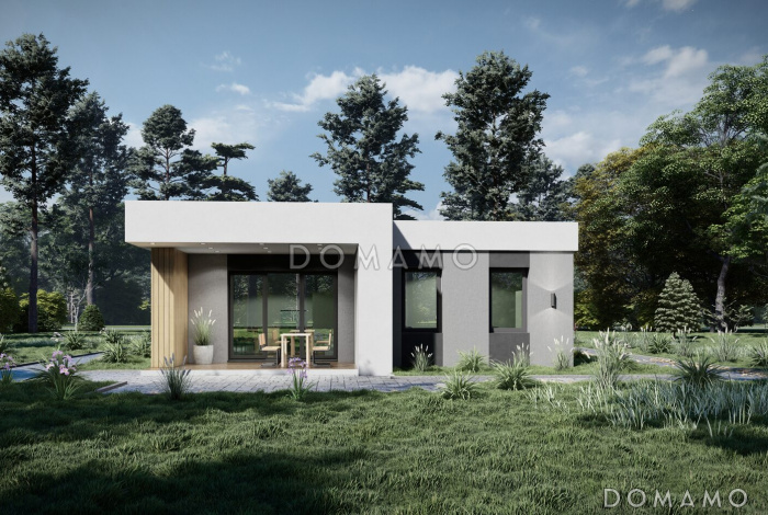 Дом за 100 дней 